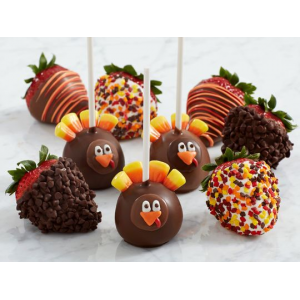 $15 to Spend on Gourmet Dipped Berries and Sweets At LivingSocial.com