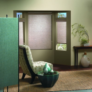Grab Light Filtering Roller Shade For $78.82 At Blinds.com