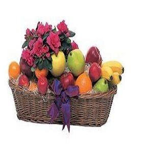 Plant and Fruit Basket - Deluxe $52.16.