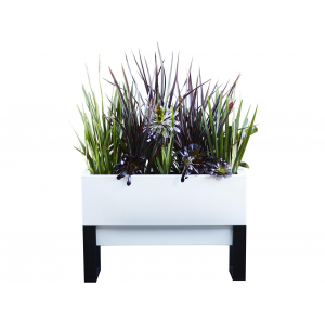 Urban Garden Self Watering Planter at $200.