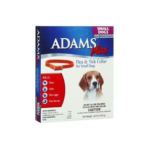 Adam Plus Collar Small Dog 15 At $8.99