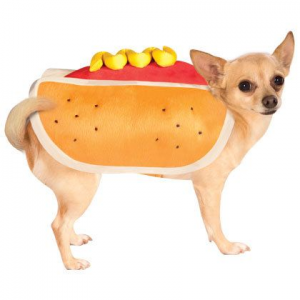 Rubie's Hot Diggity Dog Costume at $5.00