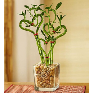 Heart Shaped Bamboo-Extra Large	 At $54.99