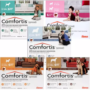 Comfortis Starting At $80.99