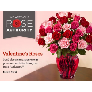 Buy Valentine's Day Roses Starting At $39