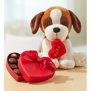 Get Sweet Puppy with Chocolate At $29.99