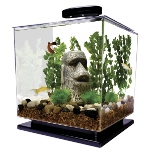 Get Tetra 29095 Cube Aquarium Kit, 3-Gallon At $37.91