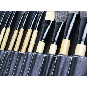 24-Piece Professional Makeup Brush Kit W/ Carrying Case At $19.99 (living social)