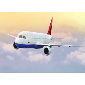 Get UpTo 65% Off Latest Domestic And International Flight