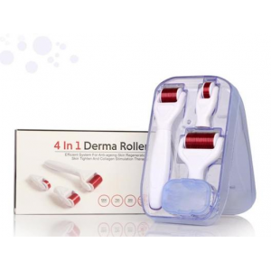 Anti Wrinkle & Cellulite 4 in 1 Derma Roller Set with Travel Case At $24.99