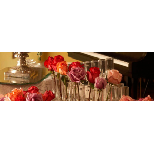 Champagne Tour at The Mansion On O Street At $18(living Social)