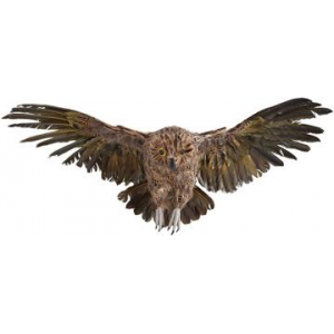 Buy Martha Stewart Living Haunted Owl At $59(Homedecorators)