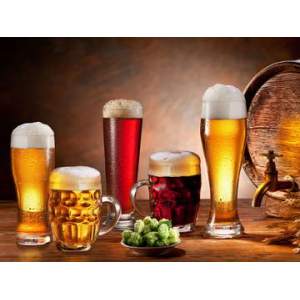 Master Beer Brewing Course At $29.99